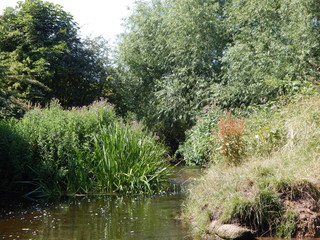 Fototapeta premium Hidden