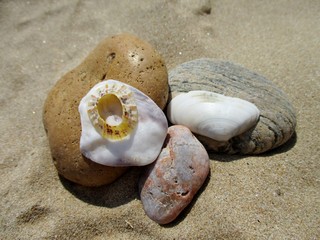 Fototapeta na wymiar Assemblage artistique de galets et coquillages sur une plage de sable fin