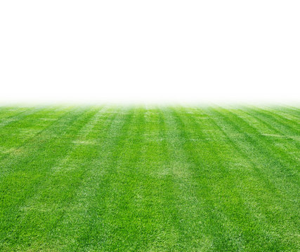 Green lawn for background, Green grass texture.