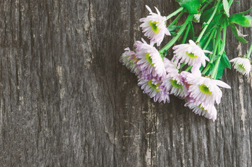 Fototapeta na wymiar White Chrysanthemum flowers on wooden baclground