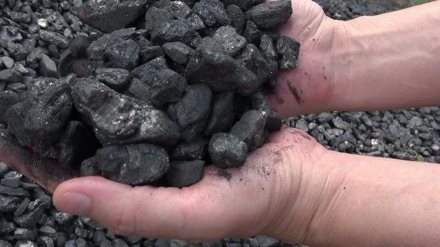 The man takes the coal with his hands. Black gold. Slow motion