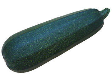 zucchini green isolated on white background