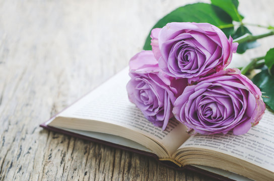 Close up of violet purple rose flowers and opened book with vintage tone - Powered by Adobe