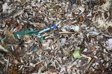 Verschmutzung Müll Strand