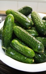 Gurken,gurke, essen, gemüse, green, frisch, isoliert, vegetarier, weiß, gesund, bio, zutat, natur, salat, reif, pflanze, diät, gegenstand, frische, roh, ackerbau, close up, obst, 