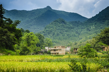 Fototapeta premium Forest and mountain scenery