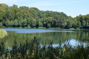 Schilfgürtelsee Holzmaar