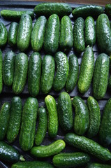 Gurken Ernte,gurke, essen, gemüse, frisch, isoliert, green, gesund, vegetarier, weiß, bio, zutat, reif, natur, frische, roh, diät, salat, gegenstand, ackerbau, vitamin, gesundheit, close 