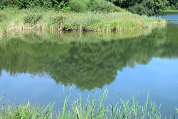 Schilfgürtelsee Holzmaar