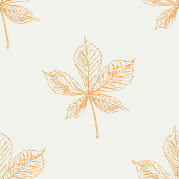 Seamless pattern with chestnut leaves .Hand drawn vector illustration