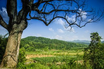 Mountains and rural scenery in autumn