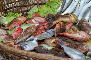 antico mercato del pesce di marsala