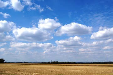 himmel, landschaft, feld, natur, gras, blau, sommer, cloud, green, wiese, ackerbau, bäuerlich, erdboden, horizont, bauernhof, frühling, wolkengebilde, weizen, land, 