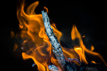 Fuego