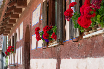 Fototapeta na wymiar Blumen an einem altem Fachwerkhaus in Deutschland