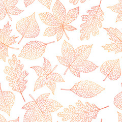 Vector autumn seamless pattern with oak, poplar, beech, maple, aspen and horse chestnut leaves outline on the white background. Fall line art of foliage. - 219784688