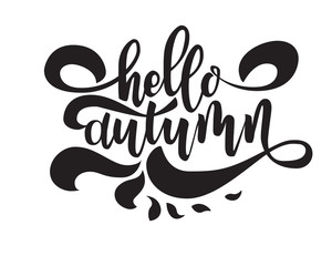 Hello autumn. Hand drawn calligraphy and brush pen lettering. design for holiday greeting card and invitation of seasonal autumn holiday. black on white