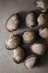 Cockles