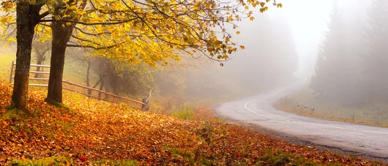 Fotobehang herfst weg © alexugalek