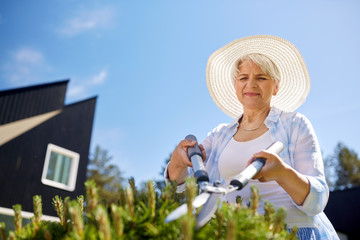 gardening, trimming and people concept - happy senior woman or gardener with hedge trimmer at...