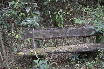 Abandoned wooden bench 3