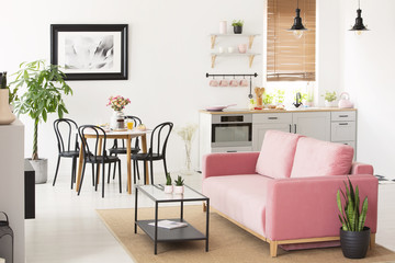 Pink settee near black chairs at dining table in flat interior with kitchenette and poster. Real photo