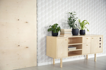 Plants and books on wooden cupboard in natural living room interior with wallpaper. Real photo