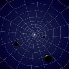 concentric web with spiders on a blue background