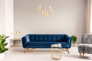 Gold lamp hanging above royal blue sofa in real photo of light grey sitting room interior with...