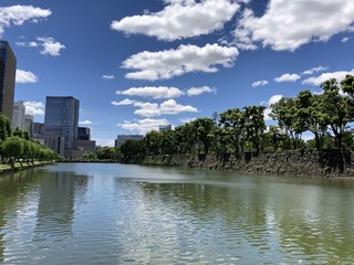 View to Ginza from the park