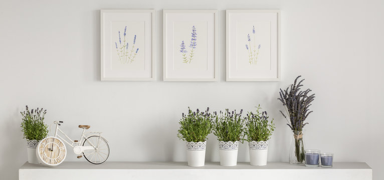 Real photo of three simple posters hanging on wall above shelf with bike shape clock, fresh lavender and candles