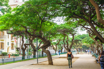 View of Rotshild Boulevard, Tel Aviv, Israel