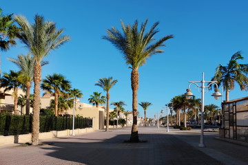 Fototapeta na wymiar Beautiful view of street with tropical plants at resort