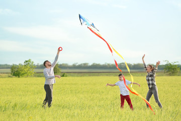 Happy family flying kite in the field