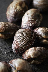 Cockles