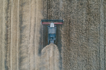Harvester collects wheat in the fields of Siberia. Center of Russia. Aerial shot.