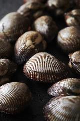 Cockles