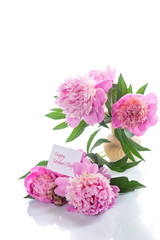 bouquet of blooming peonies on white background