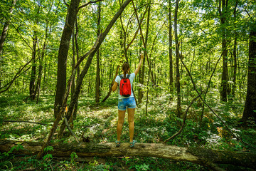 Obraz premium Young girl backpacker in jeans shorts with red backpack and sandals on his feet, walks on the road in the green forest in the sunshine outdoors in the summer time