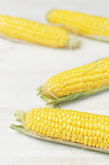Fresh corn on cobs on white wooden table, closeup, light meal background. Selective focus.