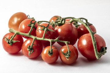 Tomatoes in a white background