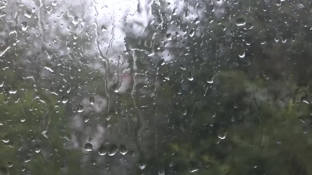 Lot of water drops on window. Storm - stream of water moving down. Gray sky and blurred trees on the wind behind. Rainy day, wet glass.