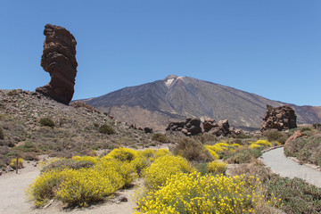 Der Teide, Las Canadas, Teneriffa, Spanien
