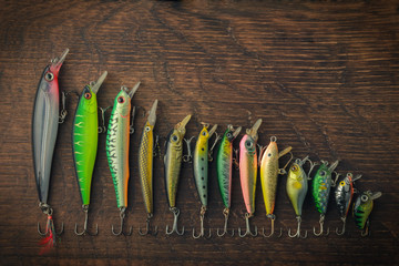 Fishing lures of different lengths laid out in descending order - obrazy, fototapety, plakaty