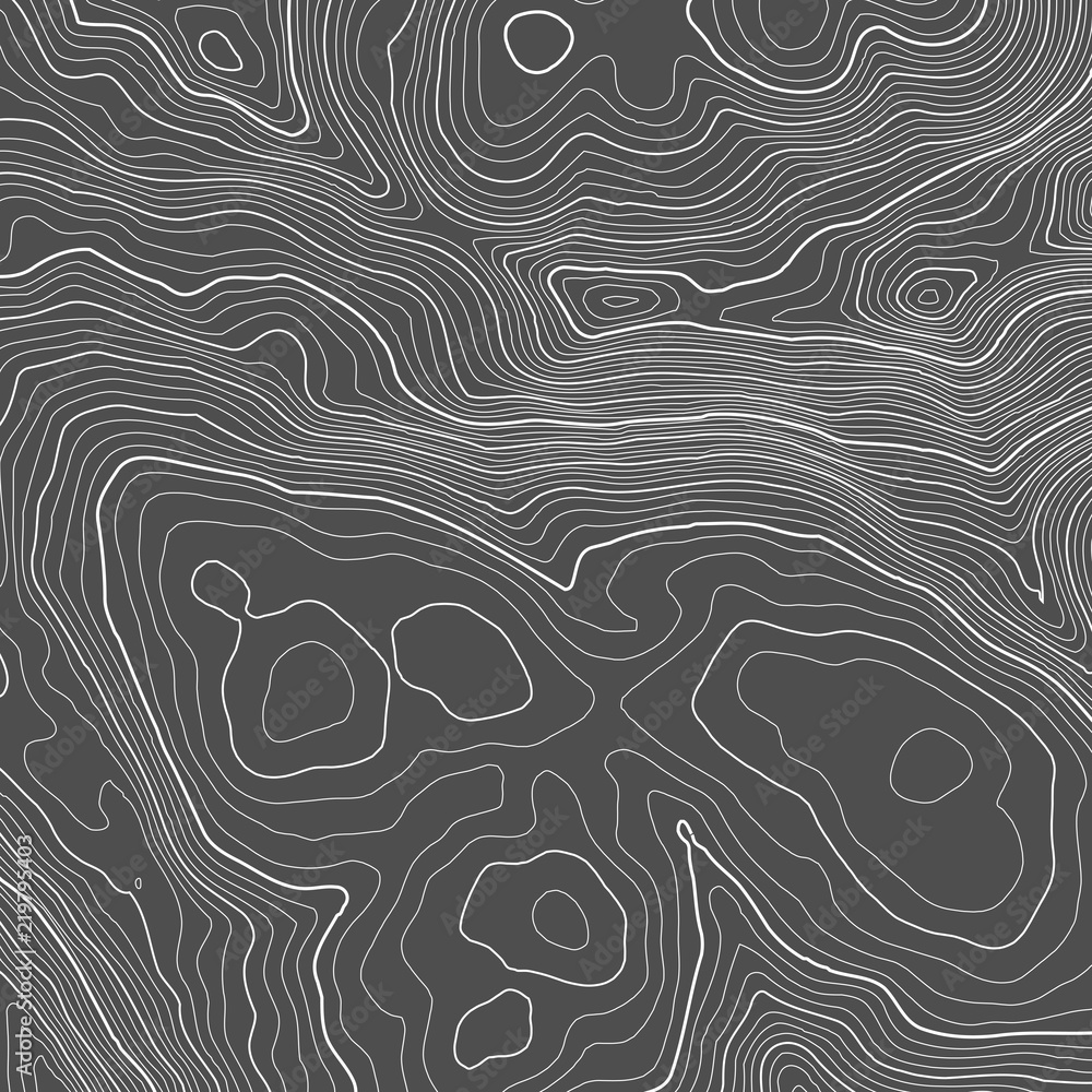 Poster vector contour topographic map background. topography and geography map grid abstract backdrop. busi