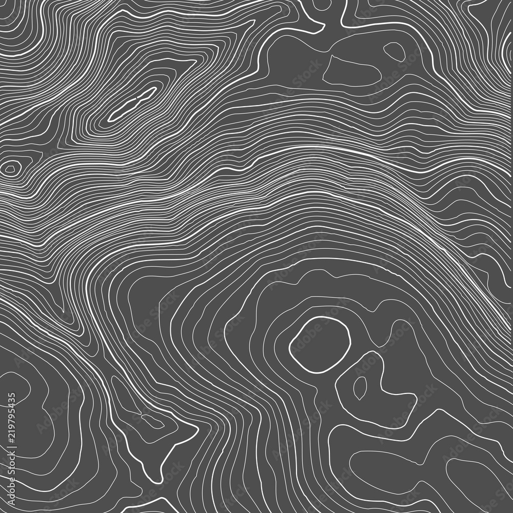 Poster vector contour topographic map background. topography and geography map grid abstract backdrop. busi