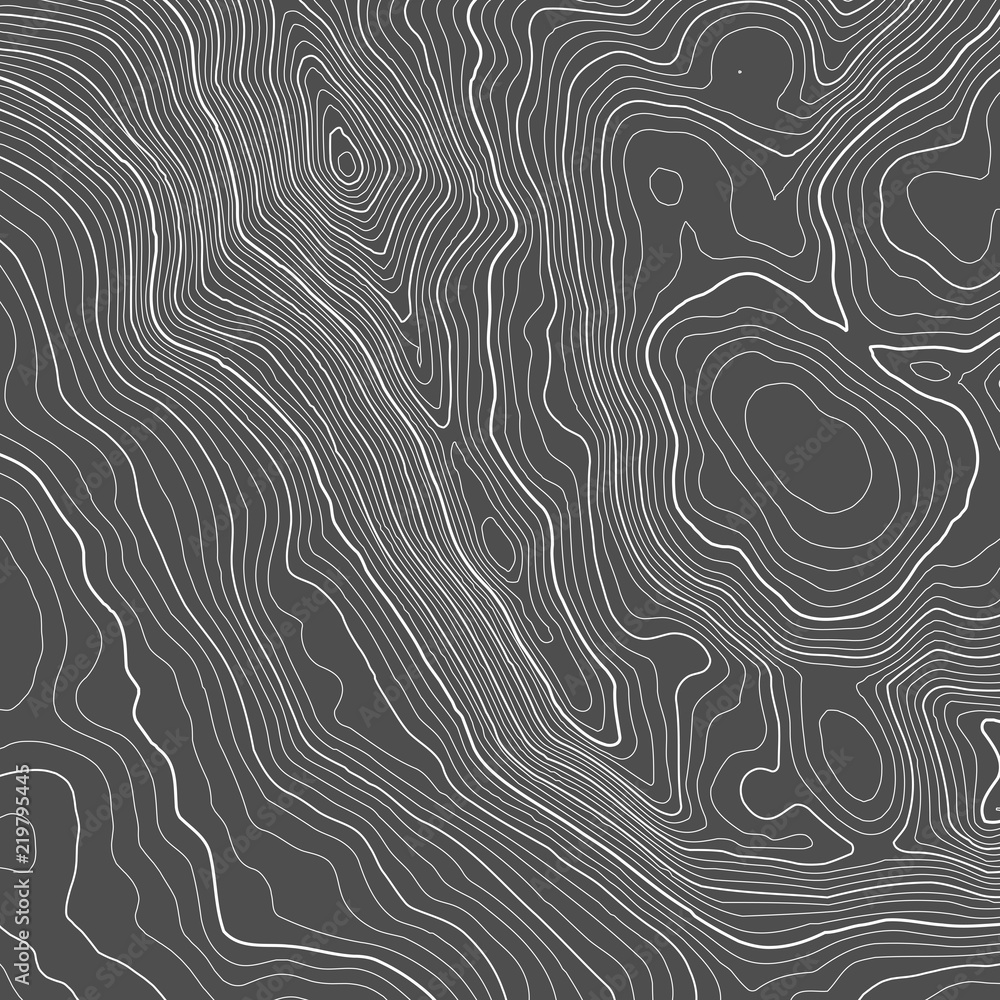 Poster vector contour topographic map background. topography and geography map grid abstract backdrop. busi