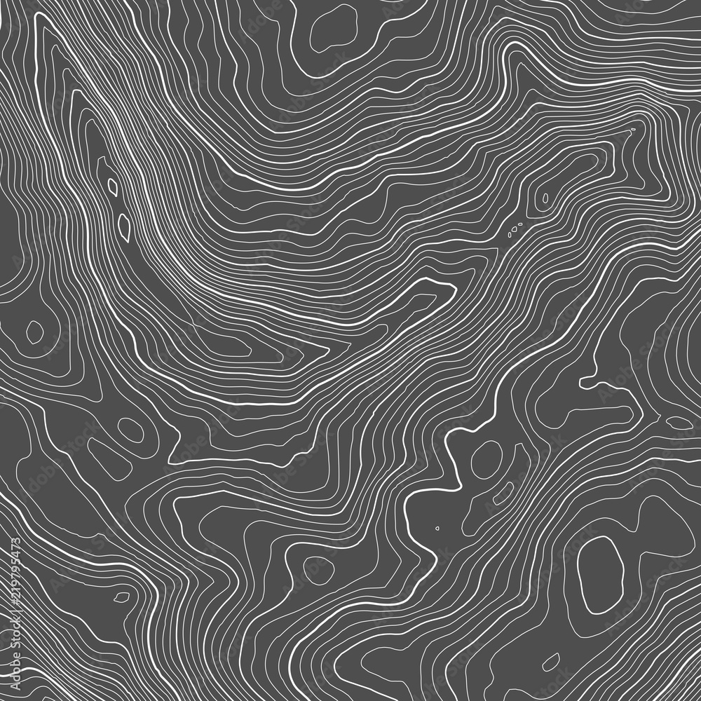 Poster vector contour topographic map background. topography and geography map grid abstract backdrop. busi