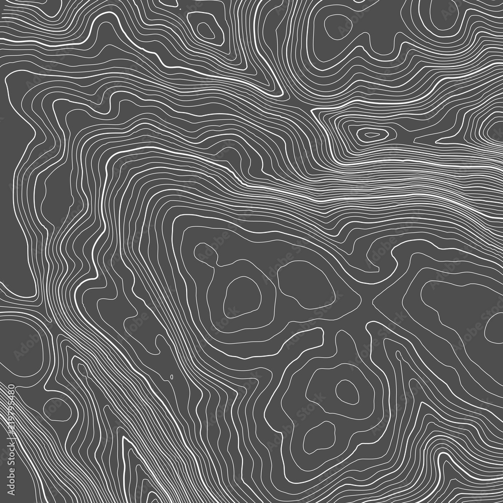 Poster vector contour topographic map background. topography and geography map grid abstract backdrop. busi