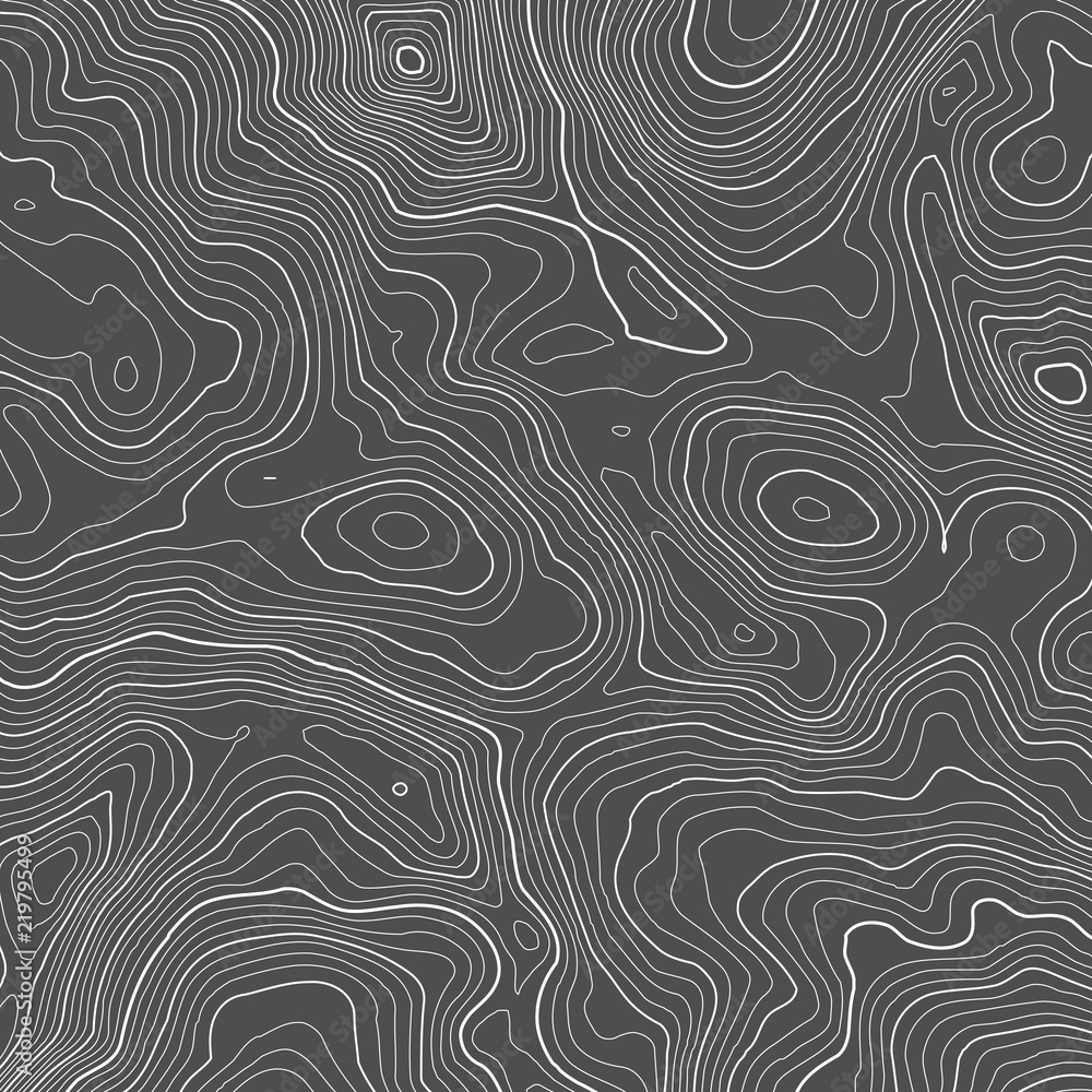 Poster vector contour topographic map background. topography and geography map grid abstract backdrop. busi
